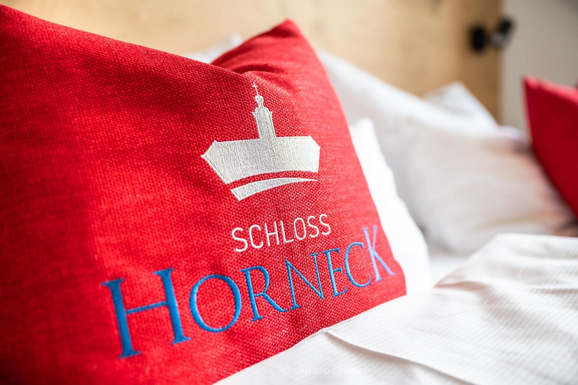 Schlosshotel Horneck Gundelsheim  Exterior foto
